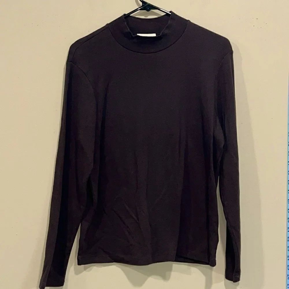 Brown Turtleneck Top By Charter Club Petite. Size Large Petite.